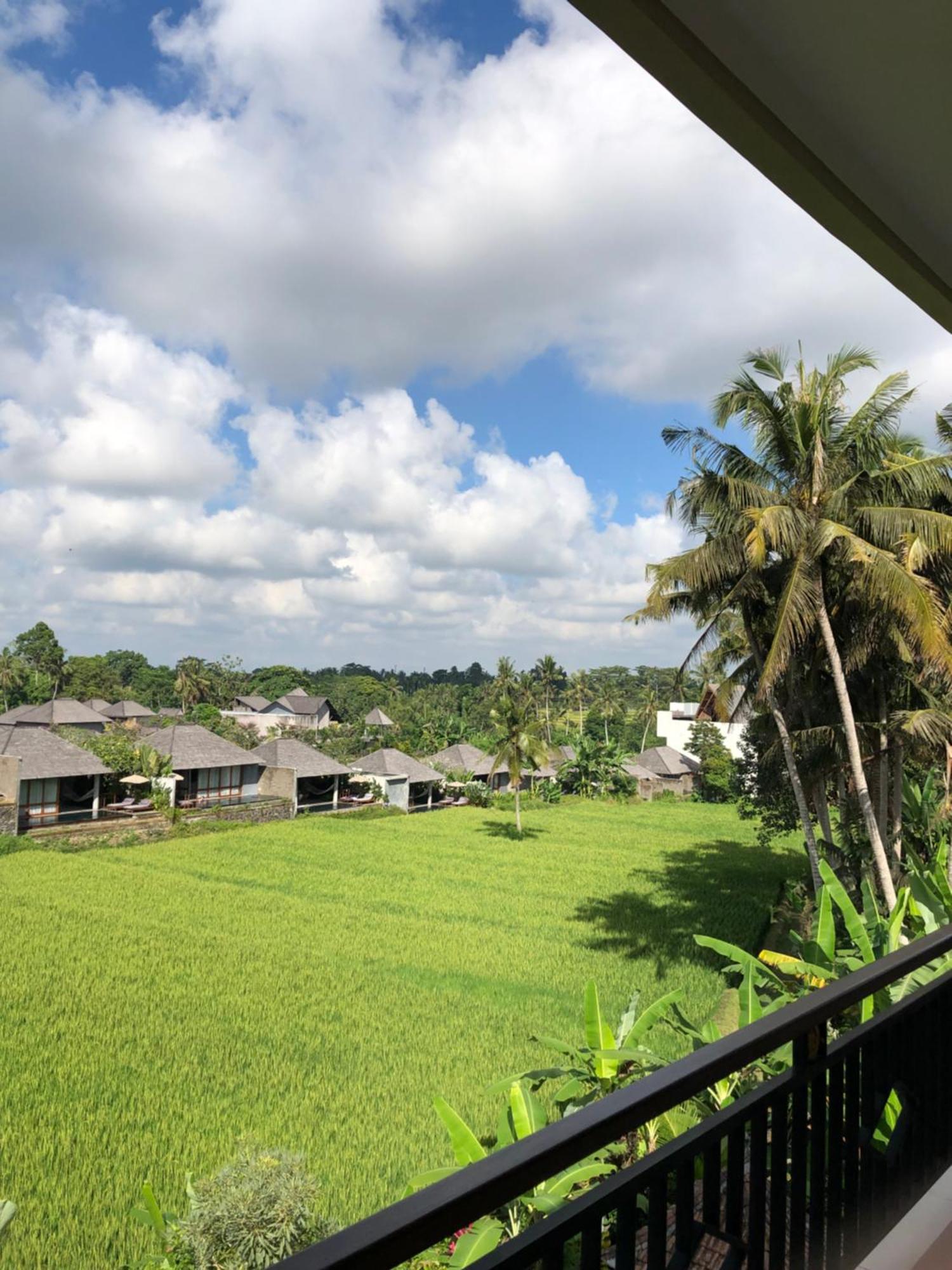 Mira Family Cottages Ubud  Exterior photo